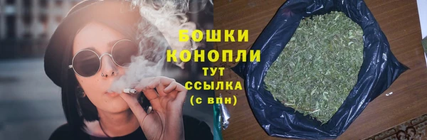 бошки Алексин