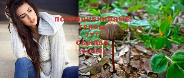 прущий лед Алексеевка