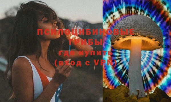 прущий лед Алексеевка