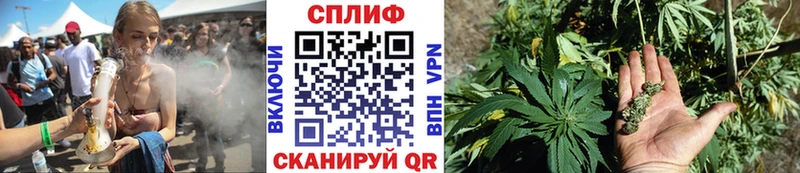 Шишки марихуана Bruce Banner  Злынка 